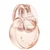 Bvlgari Ženski parfem Omnia Crystalline, EDP, 50 ml