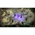 Switch 2 Warhammer 40,000: Rogue Trader - Voidfarer Edition