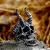 Prstan Devil Skull - SS8-802R