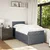 Vidaxl Box spring postelja z vzmetnico temno siva 80x200 cm žamet