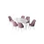 Hanah Home Set Trpezarijski sto i 6 stolica Zen, Roze-beli