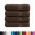 Vidaxl Premium kopalne brisače SOLUND 4 kosi rjava 100x150 cm 600 g/m2