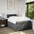 vidaXL Box spring postelja z vzmetnico temno siva 120x190 cm blago