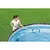 Skimer mreža za čišćenje bazena AquaScoop 58635