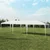 Paviljon za zabave 9x3m bez stranica Beli