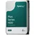 SYNOLOGY Hard disk HAT3300 6TB 3.5 HDD SATA 6Gb/s, 5400rpm, 202 MB/s, v1.0