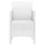 Vrtna stolica 2 pcs Bijelo 53 x 49 x 85 cm Polipropilen