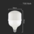 LED sijalica T120 E27/40W/230V 6500K