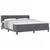 vidaXL Box Spring Postelja z Vzmetnico Temno Siva 180x200 cm Žamet