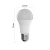 LED RGB prigušiva sijalica GoSmart A60 E27/11W/230V 2700-6500K Wi-Fi Tuya