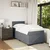 Vidaxl Box spring postelja z vzmetnico temno siv 90x190 cm žamet