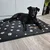 Purlov Pasja postelja 100x70cm Purlov 24862