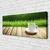tulup.si Slika na platnu Grass les narava mug 120x60 cm