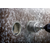 Bosch PRO Multi Material testera za otvore sa navojem 29 mm 2608901500