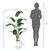 MID.YOU Umetna Rastlina Strelitzia