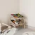 Organizer sa 4 pvc kontejnera 62x55x39cm