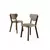 HANAH HOME Set stolica (6 komada) Arfe Cappuccino Brown