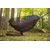 Eno Guardian