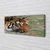 tulup.si Slika na platnu Tiger woods 140x70 cm