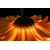Fototapeta gerbera na temnem ozadju - 490x330