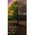 Tapeta dve podobi drevesa - 147x270