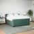 Vidaxl Box spring postelja z vzmetnico temno zelena 200x200 cm žamet