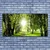 tulup.si Slika na platnu Sun forest narava pot 125x50 cm