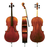Violončelo Maestro 6 Gewa 1/16 GS402.376.100