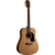 Washburn AD5 Cens Pack