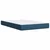 Vidaxl Box spring postelja z vzmetnico moder 120x200 cm blago