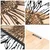 Rama de Oro -1 NaturalBlack Decorative Wooden Wall Accessory