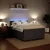 Vidaxl Box spring postelja z vzmetnico temno siva 140x200 cm žamet