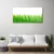 tulup.si Slika na steklu Grass nature rastlin 120x60 cm 2 obešalnika