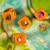 Everdell Emerland