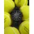 CERTINA C043.417.38.081.00