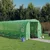 Staklenik s čeličnim okvirom zeleni 40 m2 20 x 2 x 2 m