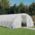 Staklenik s čeličnim okvirom bijeli 80 m2 20 x 4 x 2 m