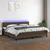 Krevet box spring s madracem LED tamnosmeđi 200x200 cm tkanina