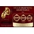SuperLove Savage Chastity Cage Set Gold