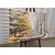Slika jesenski drevored - 40x30