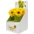 Olovka hemijska ZF2185 Sunflowers 1/16 WY
