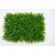 Zeleni zid 3D Wild, 40x60 cm