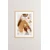 Uokvirena slika Wallity Nwyearsngmdl86, 33x48 cm
