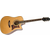 Epiphone DR-500MCE Natural