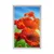 Plakat mak na travniku - 30x45 no frame