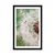 Plakat s paspartujem semena regratove lučke - 30x45 no frame