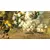 Switch Hyrule Warriors: Age of Calamity