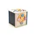 VIGA Polar B Cube sa 8u1 aktivnostima