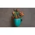 shumee Rezalna ploa steklene ploe 52x30 Poitnice