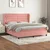 Vidaxl Box spring postelja z vzmetnico roza 160x200 cm žamet